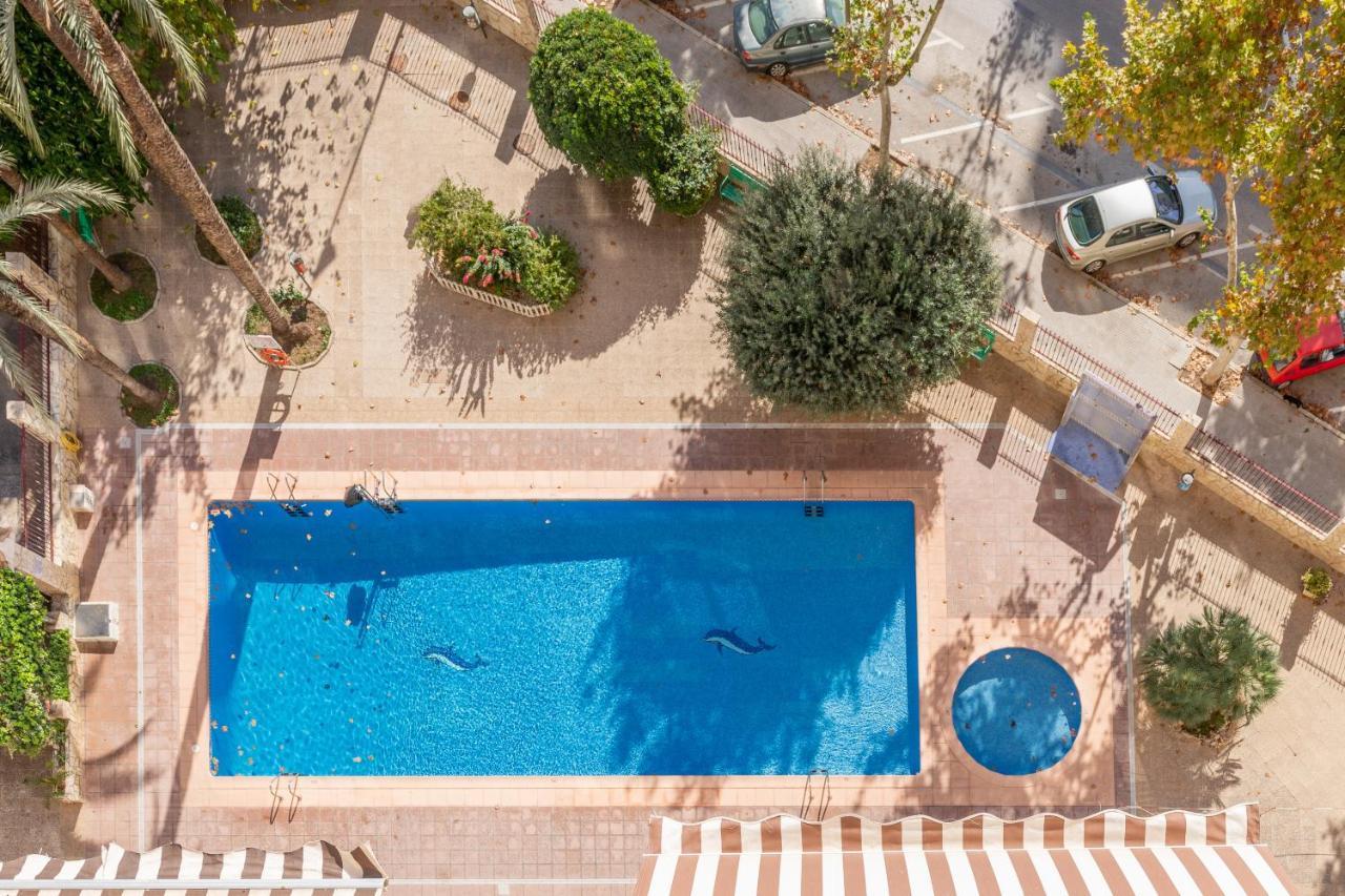 Moby Dick Apartament